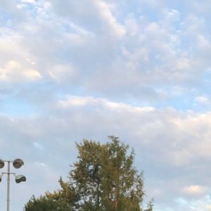 Meet your Posher, Jessenia